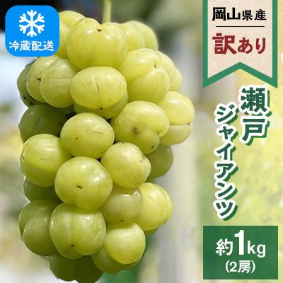 ふるさと納税 浅口市 [訳あり]2026年発送 岡山県産 瀬戸ジャイアンツ 2房 合計約1kg 冷蔵配送