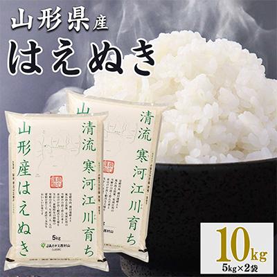 ふるさと納税 寒河江市 新米【令和8年産】清流寒河江川育ち 山形産はえぬき10kg(5kg×2袋) | 