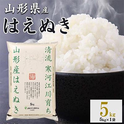 ふるさと納税 寒河江市 新米【令和8年産】清流寒河江川育ち 山形産はえぬき　5kg×1袋 | 