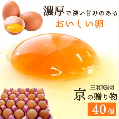 ふるさと納税 舞鶴市 卵 赤たまご 40個