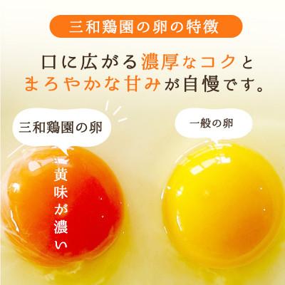 ふるさと納税 舞鶴市 卵 赤たまご 40個 |  | 01