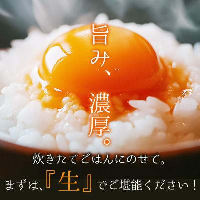 ふるさと納税 舞鶴市 卵 赤たまご 40個 |  | 02