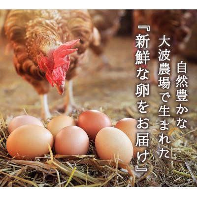 ふるさと納税 舞鶴市 卵 赤たまご 40個 |  | 03