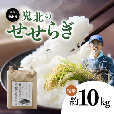 ふるさと納税 鬼北町 [自然環境米]鬼北のせせらぎ 5kg×2(計10kg)