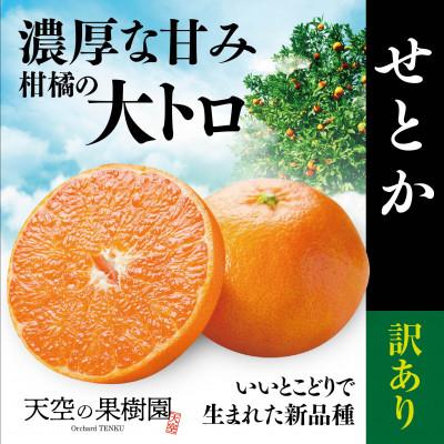 ふるさと納税 八幡浜市 天空の果樹園から届く そらせとか[訳あり](2kg)[95-10]
