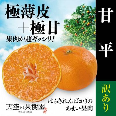 ふるさと納税 八幡浜市 天空の果樹園から届く そら甘平(3kg)[訳あり][95-14]