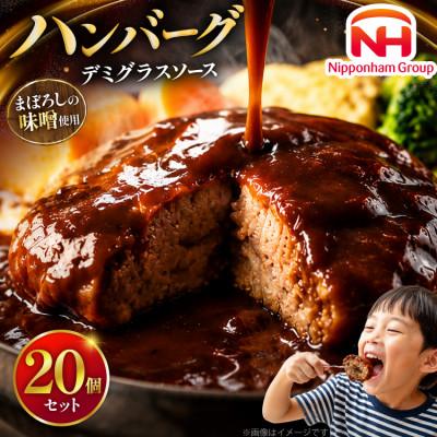 ふるさと納税 日向市 まぼろしの味噌使用デミグラスソースハンバーグ20個セット