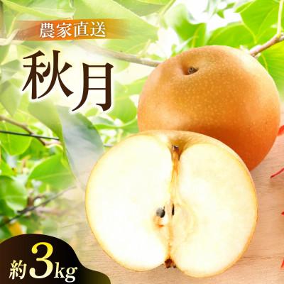 ふるさと納税 かすみがうら市 あきづき 梨 3kg 6〜10玉 [2026年収穫分]かすみがうら市