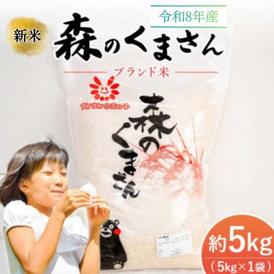 ふるさと納税 宇城市 [令和8年産新米] 森のくまさん(精米)5kg JA熊本うき