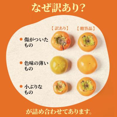 ふるさと納税 本巣市 【訳あり】富有柿 8kg(約35個〜45個入り) くどみフルーツ農園 |  | 01