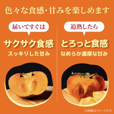 ふるさと納税 本巣市 【訳あり】富有柿 8kg(約35個〜45個入り) くどみフルーツ農園 |  | 03