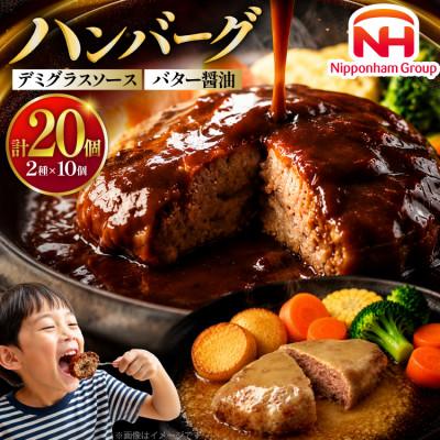 ふるさと納税 日向市 デミグラスソース・バター醤油ハンバーグセット20個セット