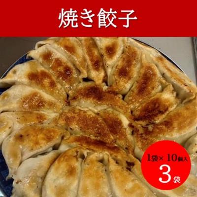 ふるさと納税 かほく市 本格手作り 冷凍餃子セット(10個入×3袋 計 30個)