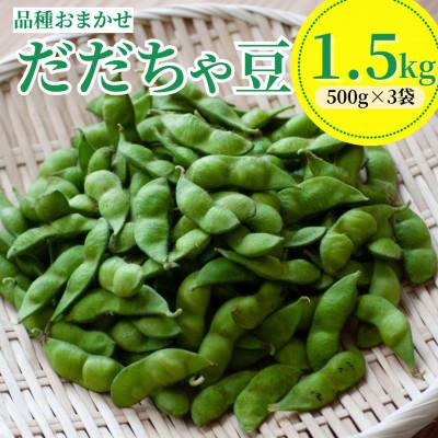 ふるさと納税 鶴岡市 [令和8年産先行予約] だだちゃ豆 品種おまかせ 1.5kg(500g×3袋)
