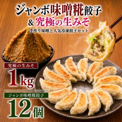 ふるさと納税 矢吹町 [無添加・国産発酵食品]ジャンボ味噌糀餃子(12個入り)と究極の生みそ1kgセット