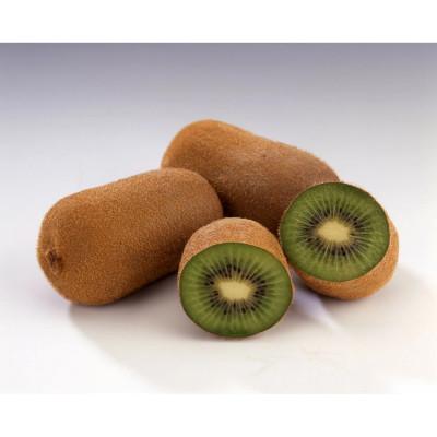 ふるさと納税 高松市 香緑キウイ 期間限定 約1.2kg[さぬき讃フルーツ]「スイート16」