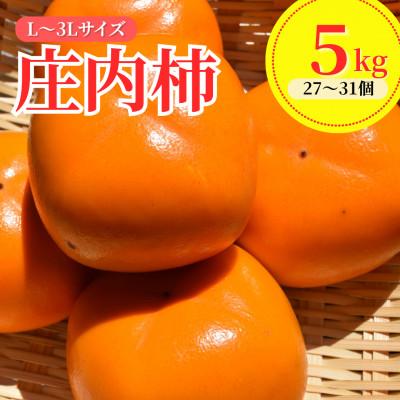 ふるさと納税 鶴岡市 [令和8年産先行予約] 庄内柿(L〜3Lサイズ) 5kg (27〜31個)