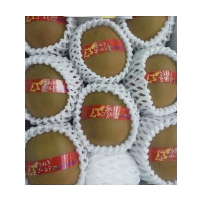 ふるさと納税 高松市 [造田商店]さぬきゴールドキウイ[黄様]7〜9個入り 約1.2kg×1箱[化粧箱入り]