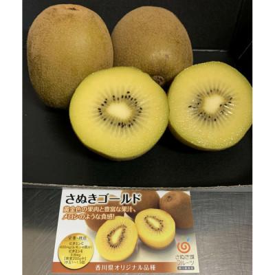 ふるさと納税 高松市 さぬきゴールドキウイ「黄様」大玉16個入り
