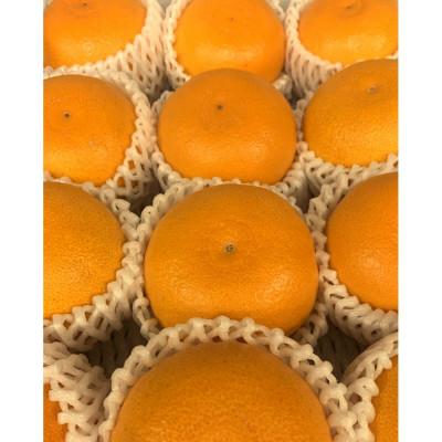 ふるさと納税 高松市 [造田商店]濃厚な甘み とろけるような 食感の「せとか」 約3kg 1箱 9〜12個