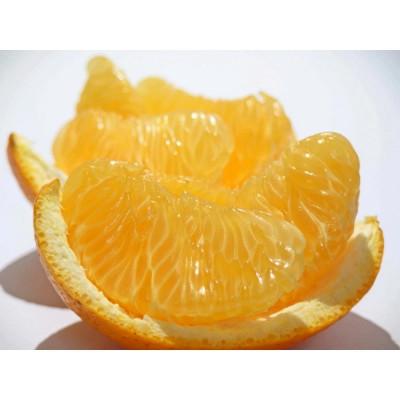 ふるさと納税 高松市 [造田商店]完熟ハッサク 約3.8kg