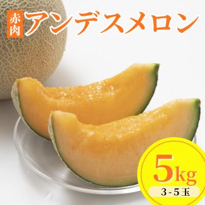 ふるさと納税 鶴岡市 [令和8年産]アンデスメロン[赤肉] 5kg(3〜5玉)