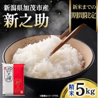 ふるさと納税 加茂市 [期間限定・個数限定]令和7年産 新之助 精米5kg 特別企画