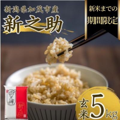 ふるさと納税 加茂市 [期間限定・個数限定]令和7年産 新之助 玄米5kg 特別企画