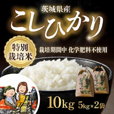 ふるさと納税 茨城町 特別栽培米 こしひかり 10kg(5kg×2袋)精米 茨城県産