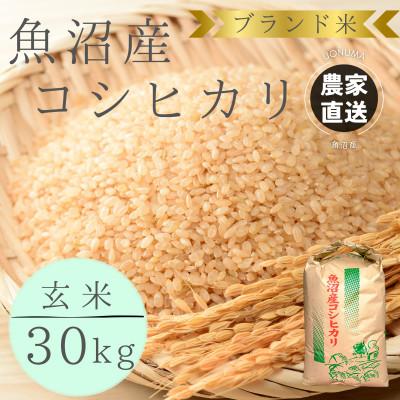 ふるさと納税 魚沼市 [令和8年産]ブランド米 魚沼産コシヒカリ 玄米 30kg おいしいお米