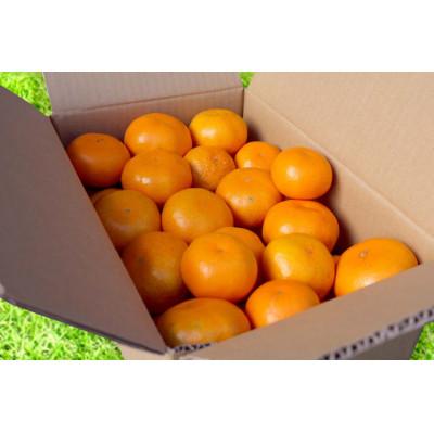 ふるさと納税 印南町 [先行受付2026年11月より順次発送]有田みかん3kg小玉(2S〜Sサイズ混合)[まごころ手選別]