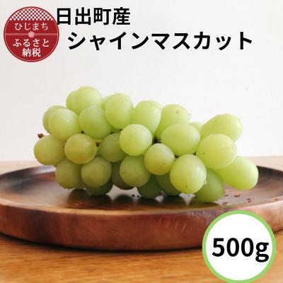 ふるさと納税 日出町 [日出町産]シャインマスカット(約500g)