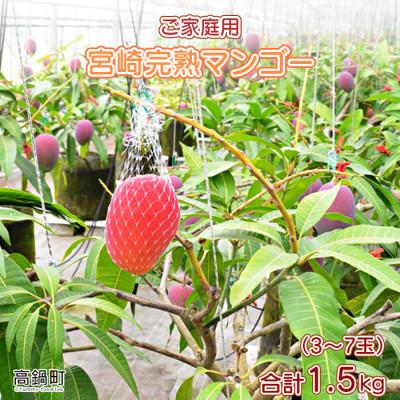ふるさと納税 高鍋町 宮崎県産 完熟マンゴー 「家庭用」(約1.5kg)