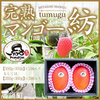 ふるさと納税 高鍋町 宮崎県産 完熟マンゴー「紡」(約300g〜約350g 2個もしくは約260g〜約300g 3個)