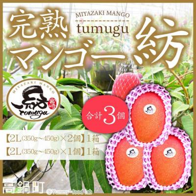 ふるさと納税 高鍋町 宮崎県産 完熟マンゴー「紡」(2Lサイズ×3個)