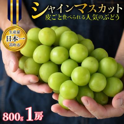 ふるさと納税 笛吹市 [先行予約]シャインマスカット 1房 約800g 特房 皮ごと食べられる人気のぶどう 笛吹市