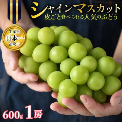 ふるさと納税 笛吹市 [先行予約]シャインマスカット 1房 約600g 皮ごと食べられる人気のぶどう 笛吹市