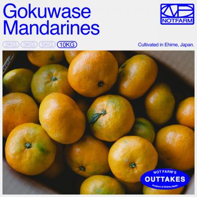 ふるさと納税 八幡浜市 [OUTTAKES]訳あり 極早生みかん10kg 愛媛県産 Gokuwase[99-35]