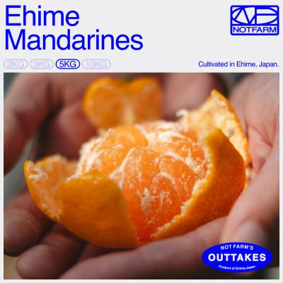 ふるさと納税 八幡浜市 [OUTTAKES]訳あり 愛媛みかん5kg 愛媛産 EHIME MANDARINES[99-31]