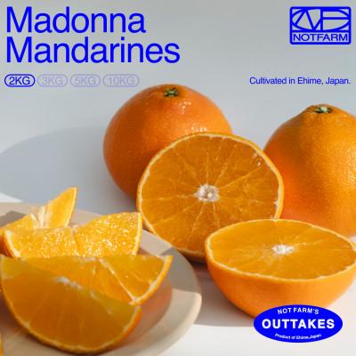 ふるさと納税 八幡浜市 [OUTTAKES]訳ありまどんな2kg 愛媛産 Madonnna 紅まどんなと同品種[99-29]