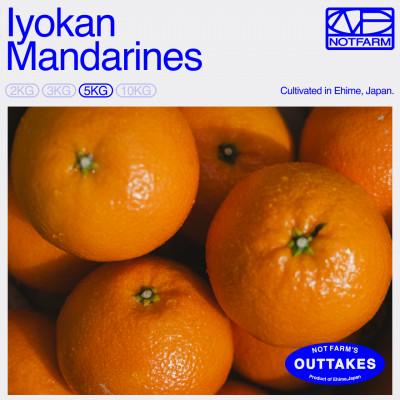 ふるさと納税 八幡浜市 [OUTTAKES]訳あり 伊予柑5kg 愛媛県産 EHIME IYOKAN いよかん[99-24]
