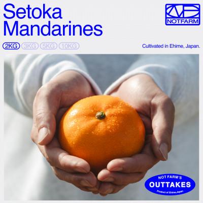 ふるさと納税 八幡浜市 [OUTTAKES]訳あり せとか2kg 愛媛県産 EHIME SETOKA[99-20]