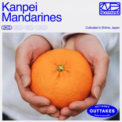 ふるさと納税 八幡浜市 [OUTTAKES]訳あり 甘平2kg 愛媛県産 EHIME KANPEI[99-17]