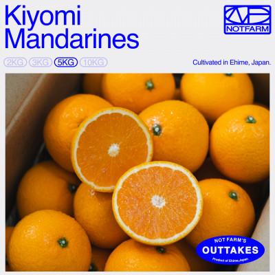 ふるさと納税 八幡浜市 [OUTTAKES]訳あり 清見5kg 愛媛県産 EHIME KIYOMI きよみ[99-11]