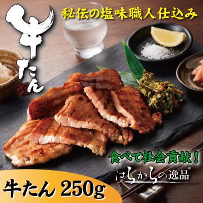 ふるさと納税 亘理町 人気牛たん商品の小パックです!はらからの逸品 牛たん 250g 秘伝の塩味職人仕込み