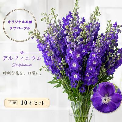ふるさと納税 長和町 デルフィニウム 生花10本 花色:ラブパープル 〜特別な花をインテリアに〜