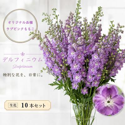 ふるさと納税 長和町 デルフィニウム 生花10本 花色:ラブピンクももこ 〜特別な花をインテリアに〜