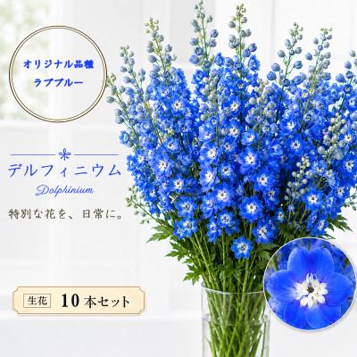 ふるさと納税 長和町 デルフィニウム 生花10本 花色:ラブブルー 〜特別な花をインテリアに〜