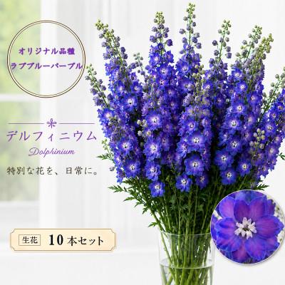 ふるさと納税 長和町 デルフィニウム 生花10本 花色:ラブブルーパ-プル 〜特別な花をインテリアに〜