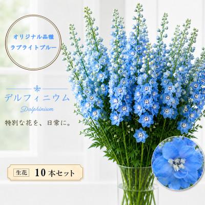 ふるさと納税 長和町 デルフィニウム 生花10本 花色:ラブライトブルー 〜特別な花をインテリアに〜
